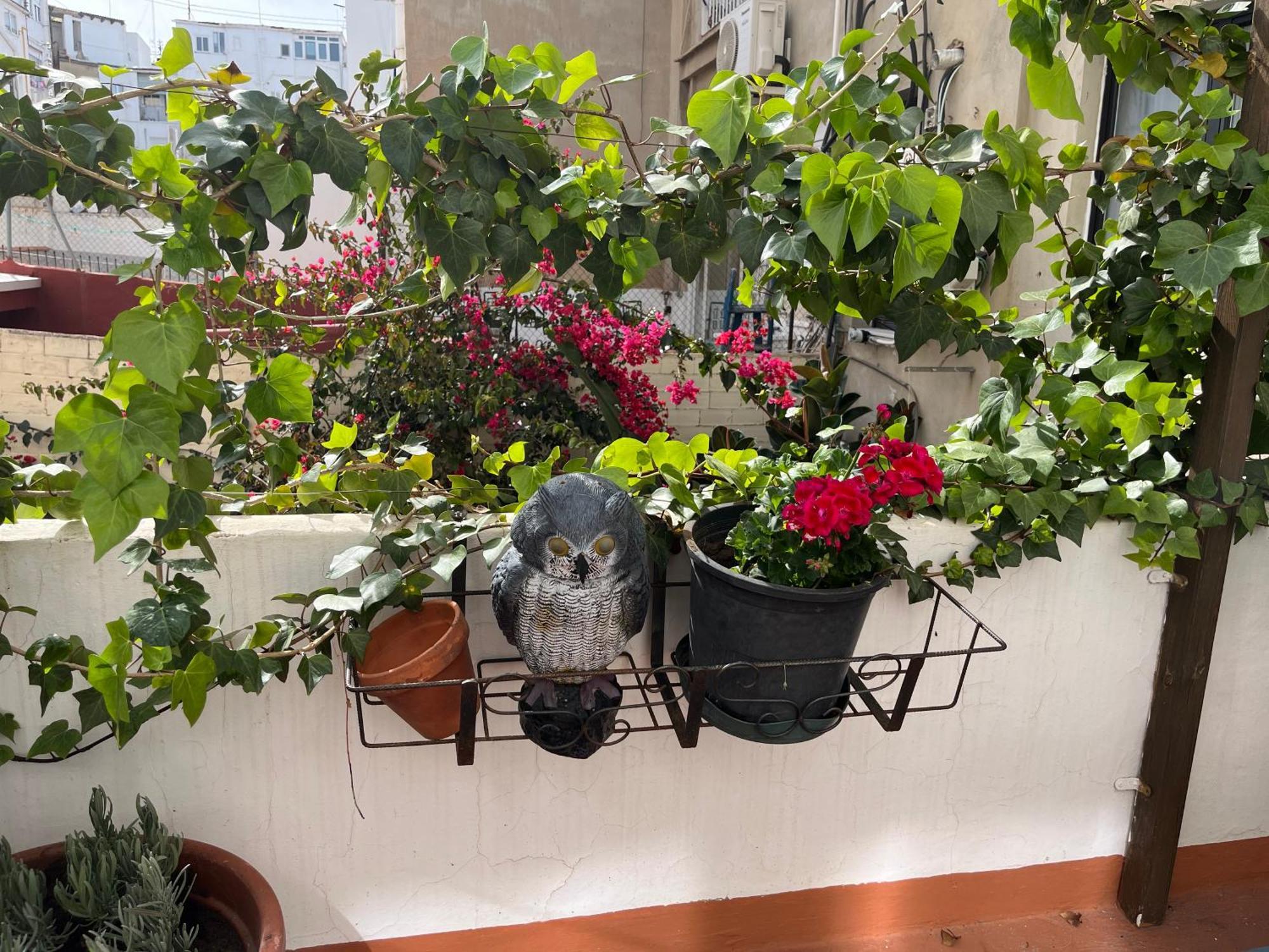 Appartement Ruzafa Centro Ii